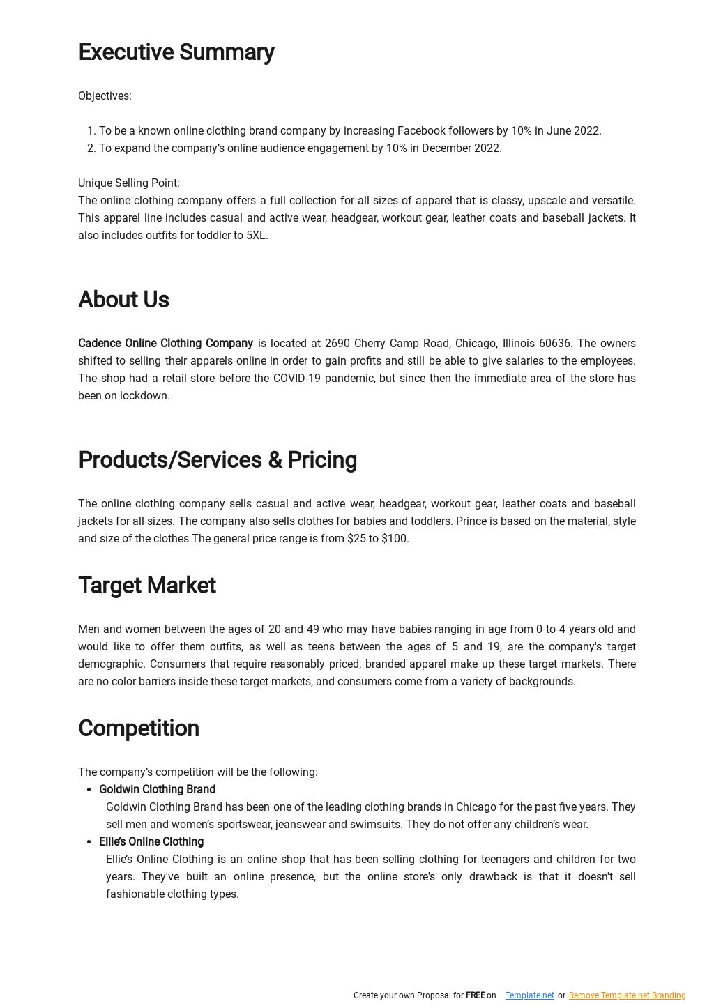 Business Plan Template For Online Clothing Store