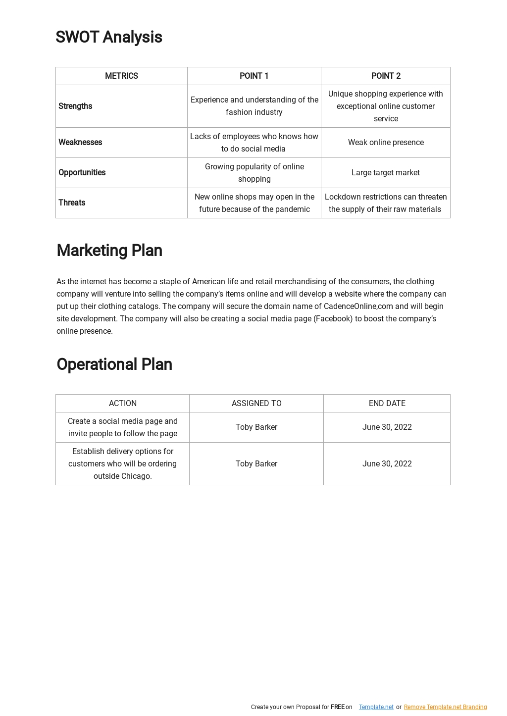 Online Clothing Brand Business Plan Template Free PDF Google Docs 