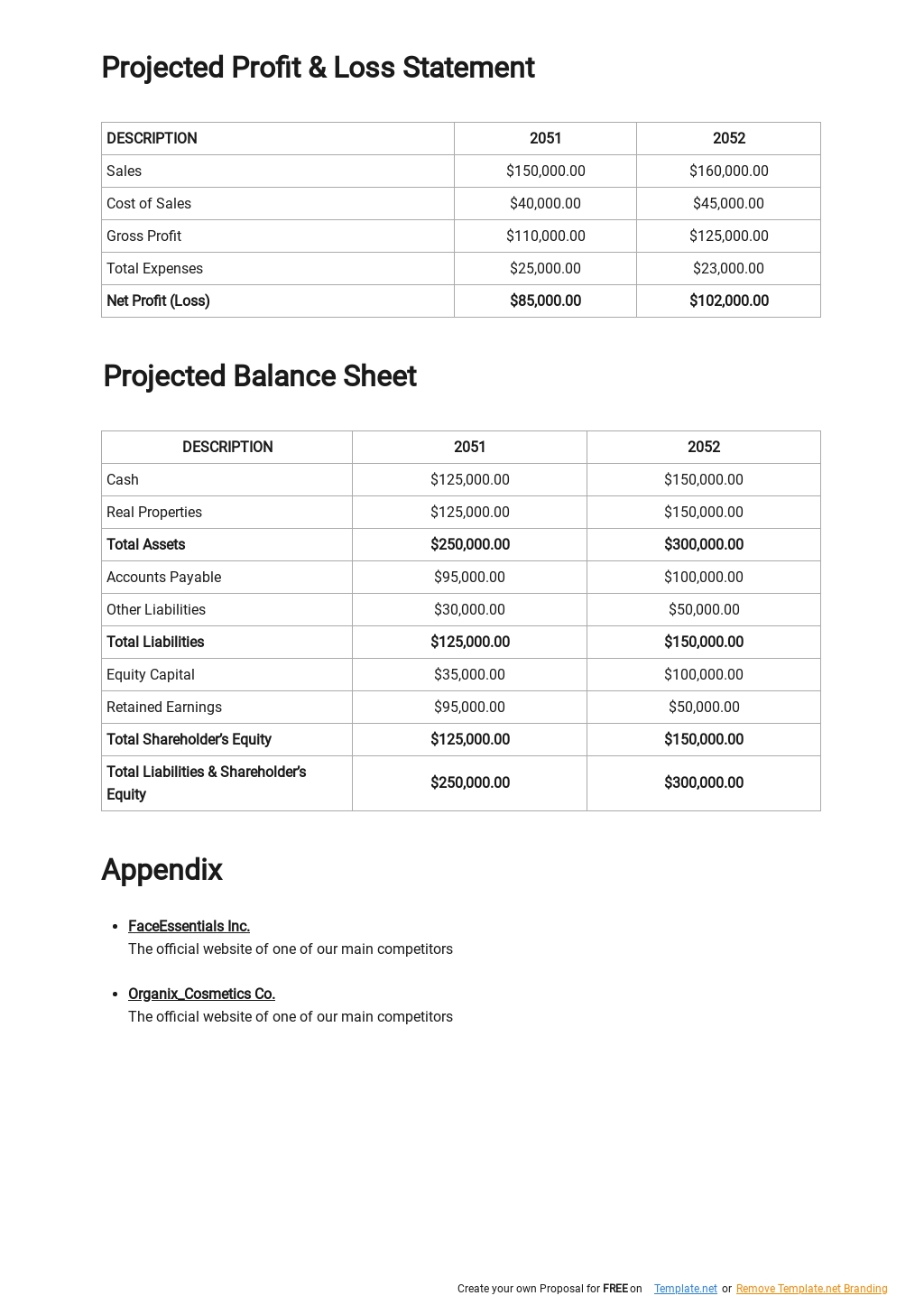 Retail Online Store Business Plan Template [Free PDF]