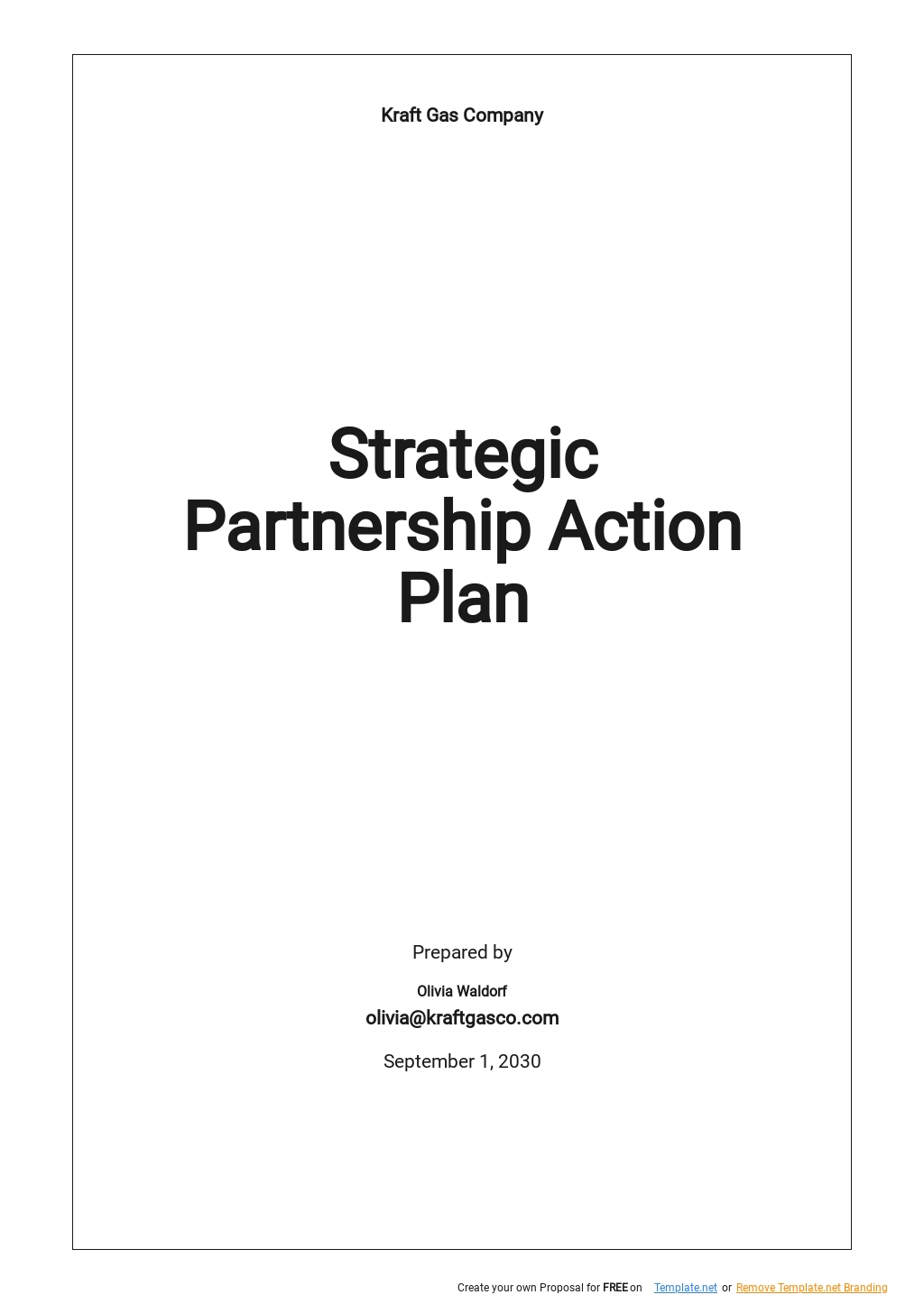 Strategic Partnership Action Plan Template