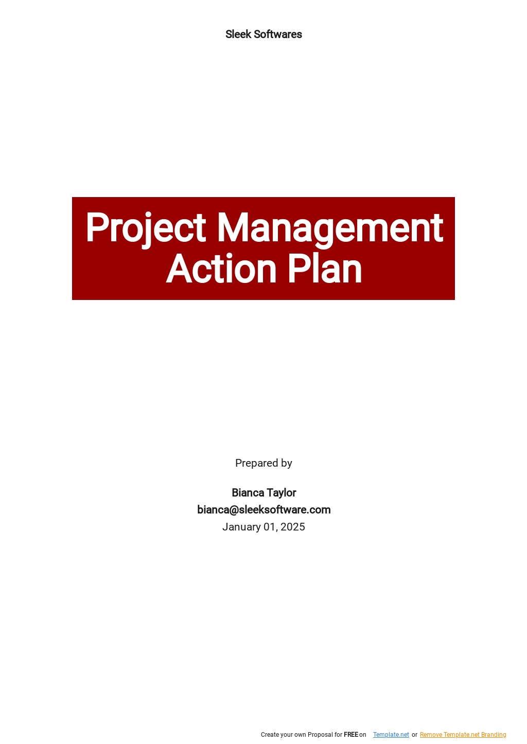 Project Management Action Plan Template