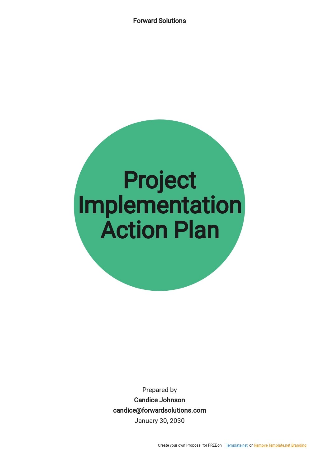 Project Implementation Action Plan Template