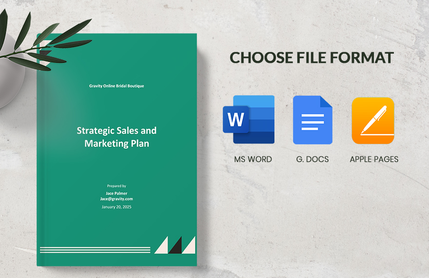 Strategic Sales and Marketing Plan Template