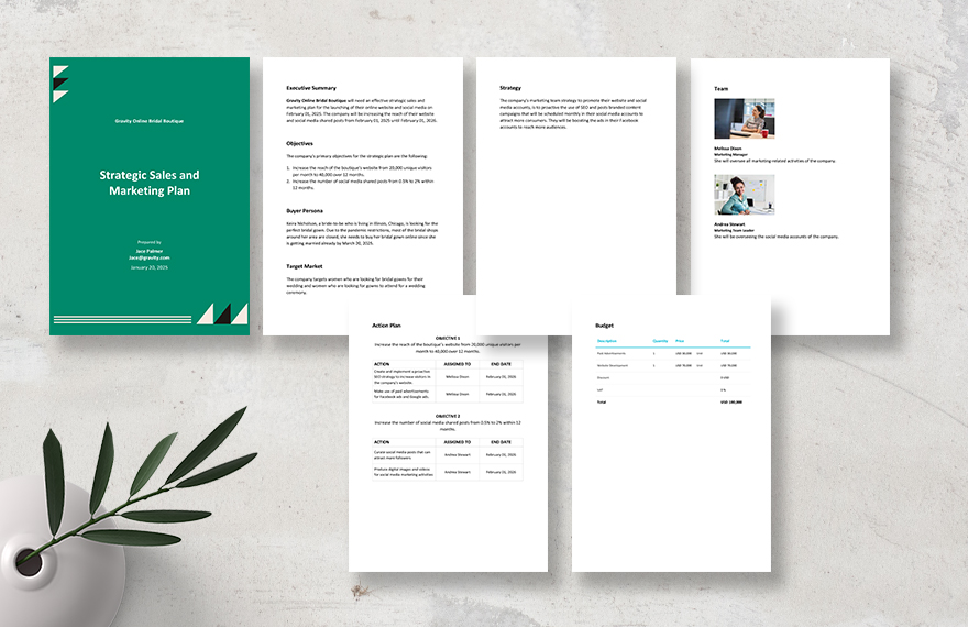 Strategic Sales and Marketing Plan Template