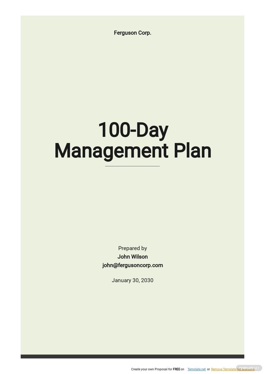 100 Day Management Plan Template.jpe