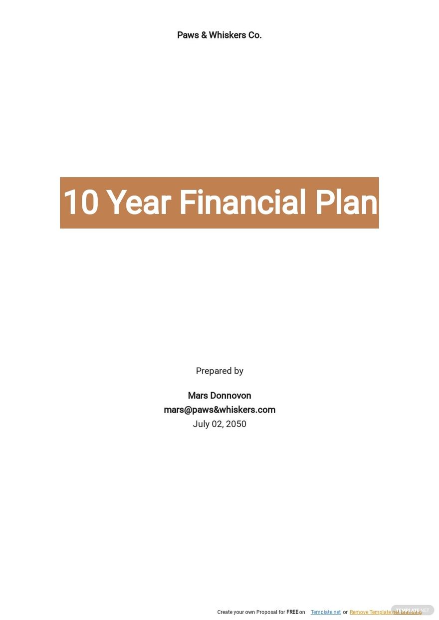 10 Year Financial Plan Template Google Docs Word Apple Pages PDF