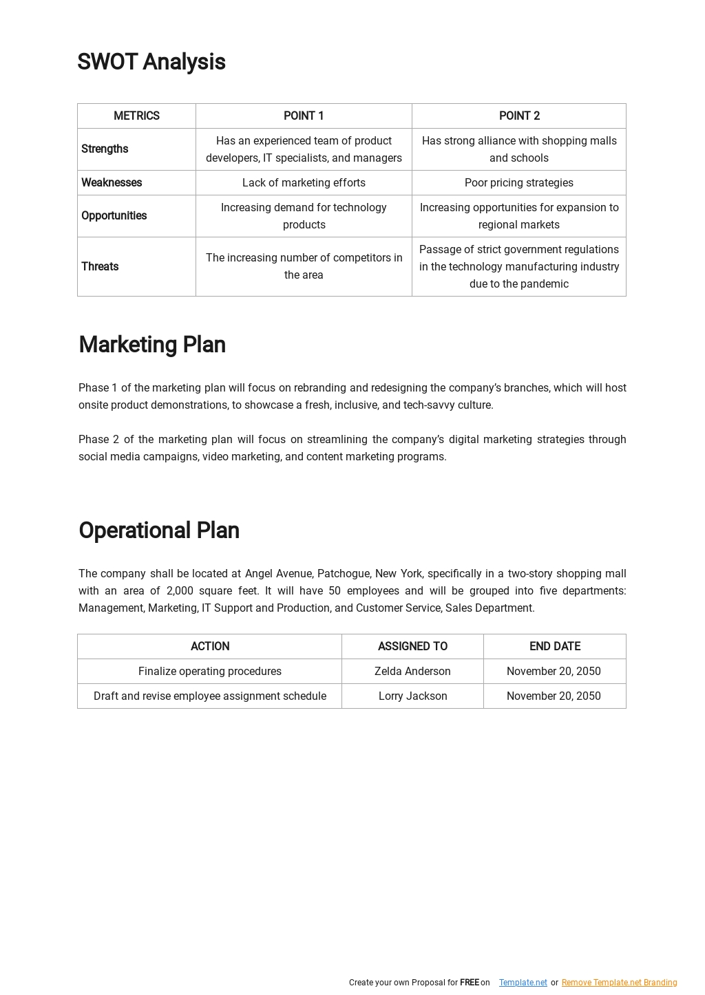 Ten Year Plan Template