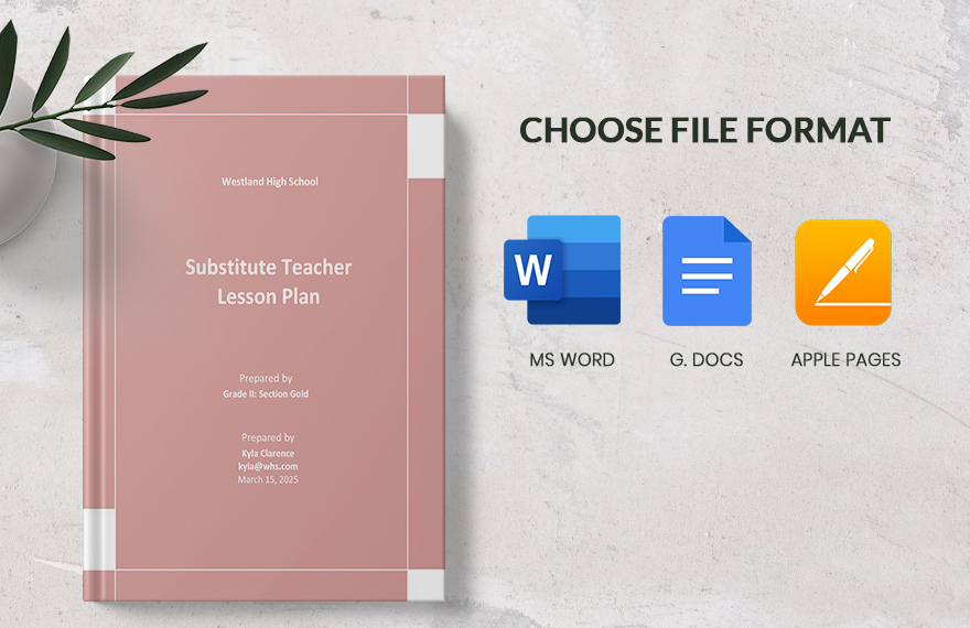 Sample Substitute Teacher Lesson Plan Template