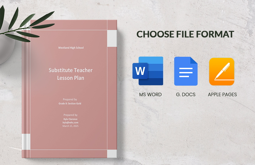 Sample Substitute Teacher Lesson Plan Template Download In Word