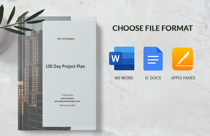 100 Day Project Plan Template