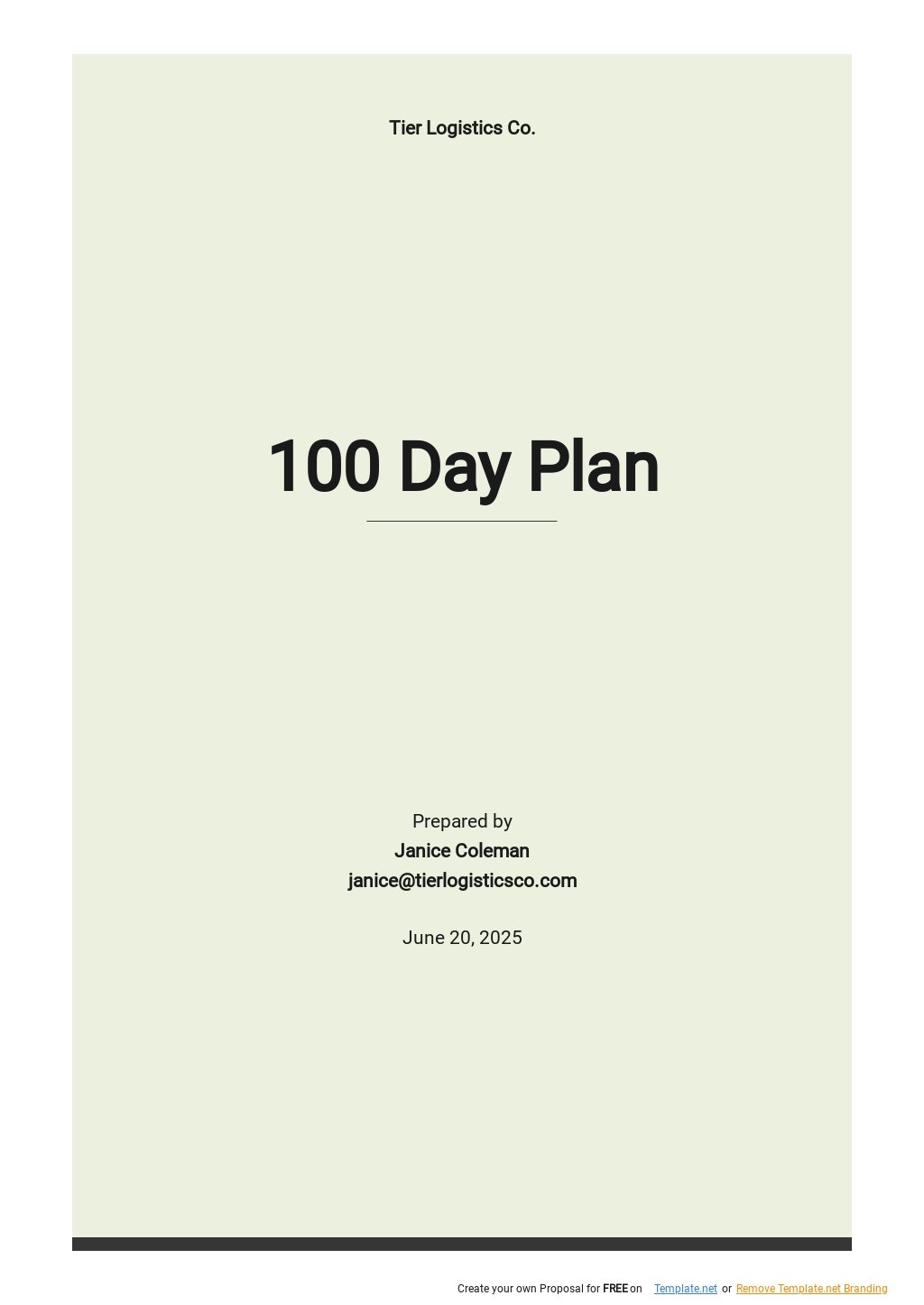 Free Simple 100 day Plan Template