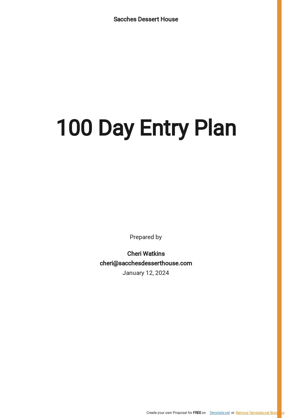 100 Day Entry Plan Template