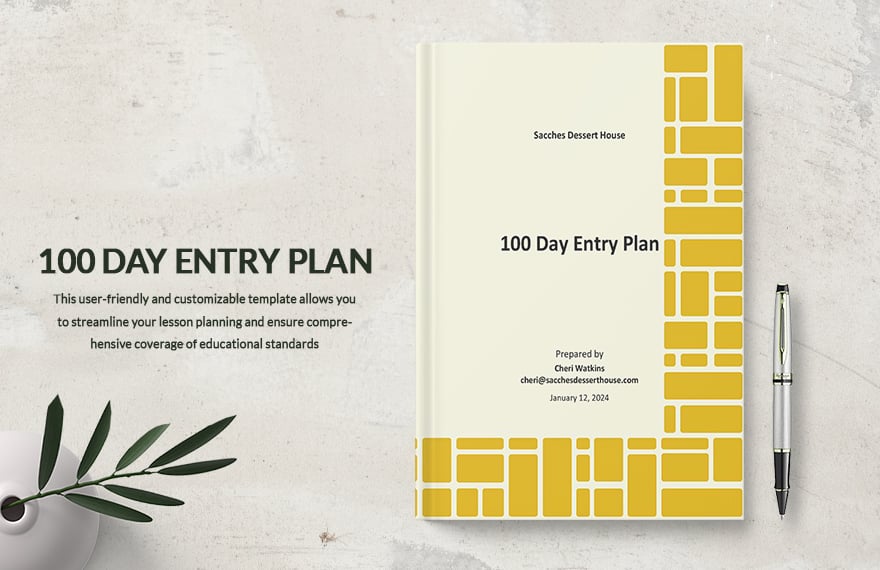 100 Day Entry Plan Template