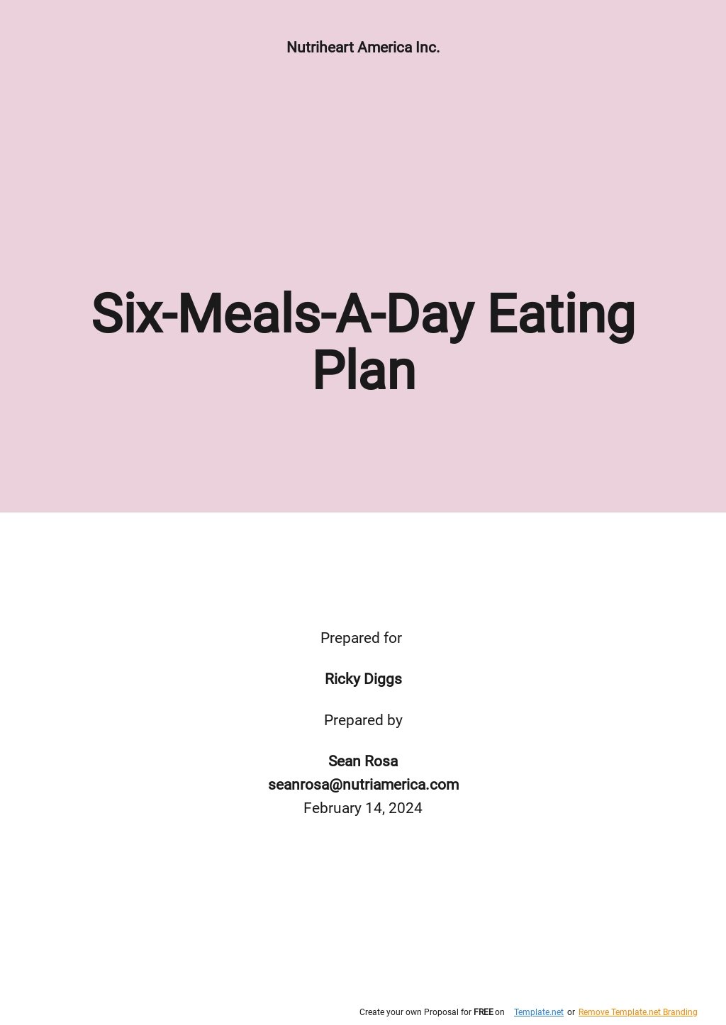 6 Meals a Day Meal Plans Templates Word Format, Free, Download
