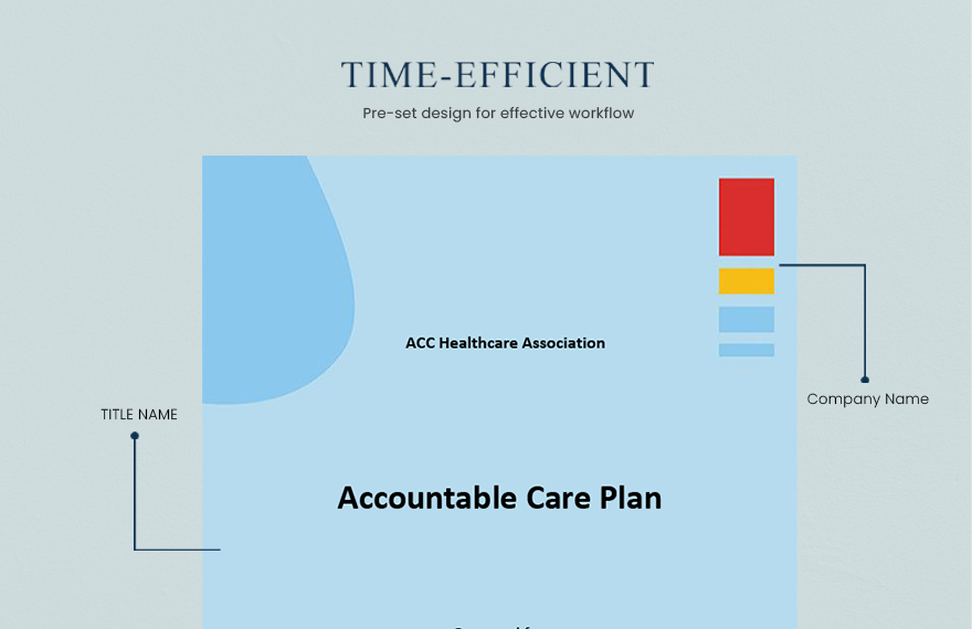 Accountable Care Plan Template