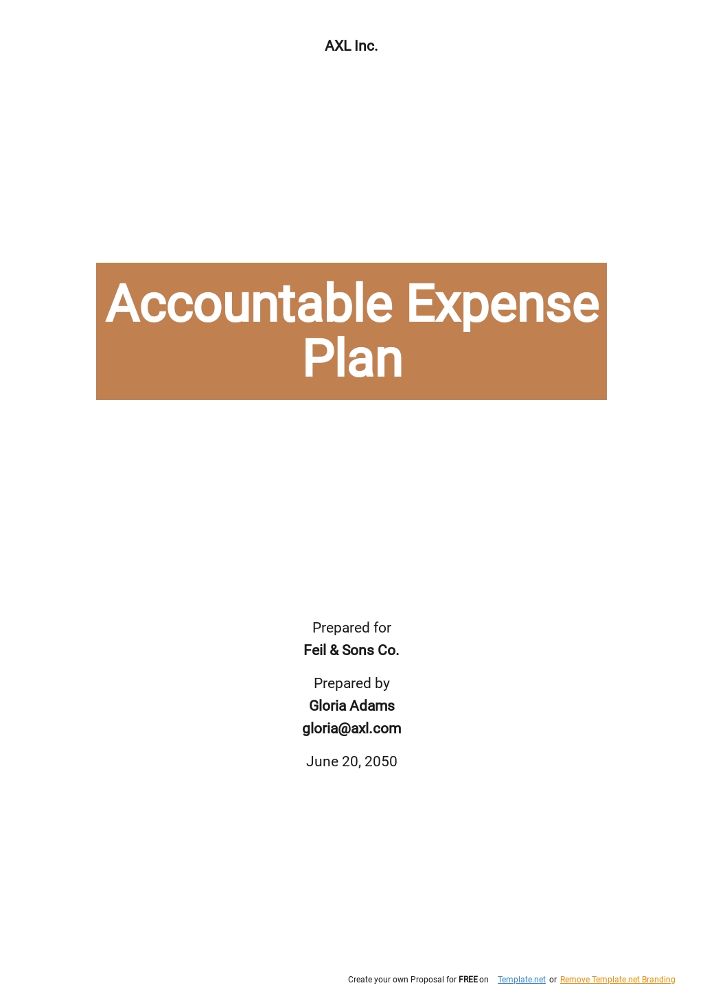 accountable plan expense report template