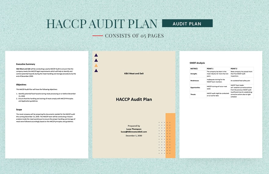 Sample HACCP Audit Plan Template