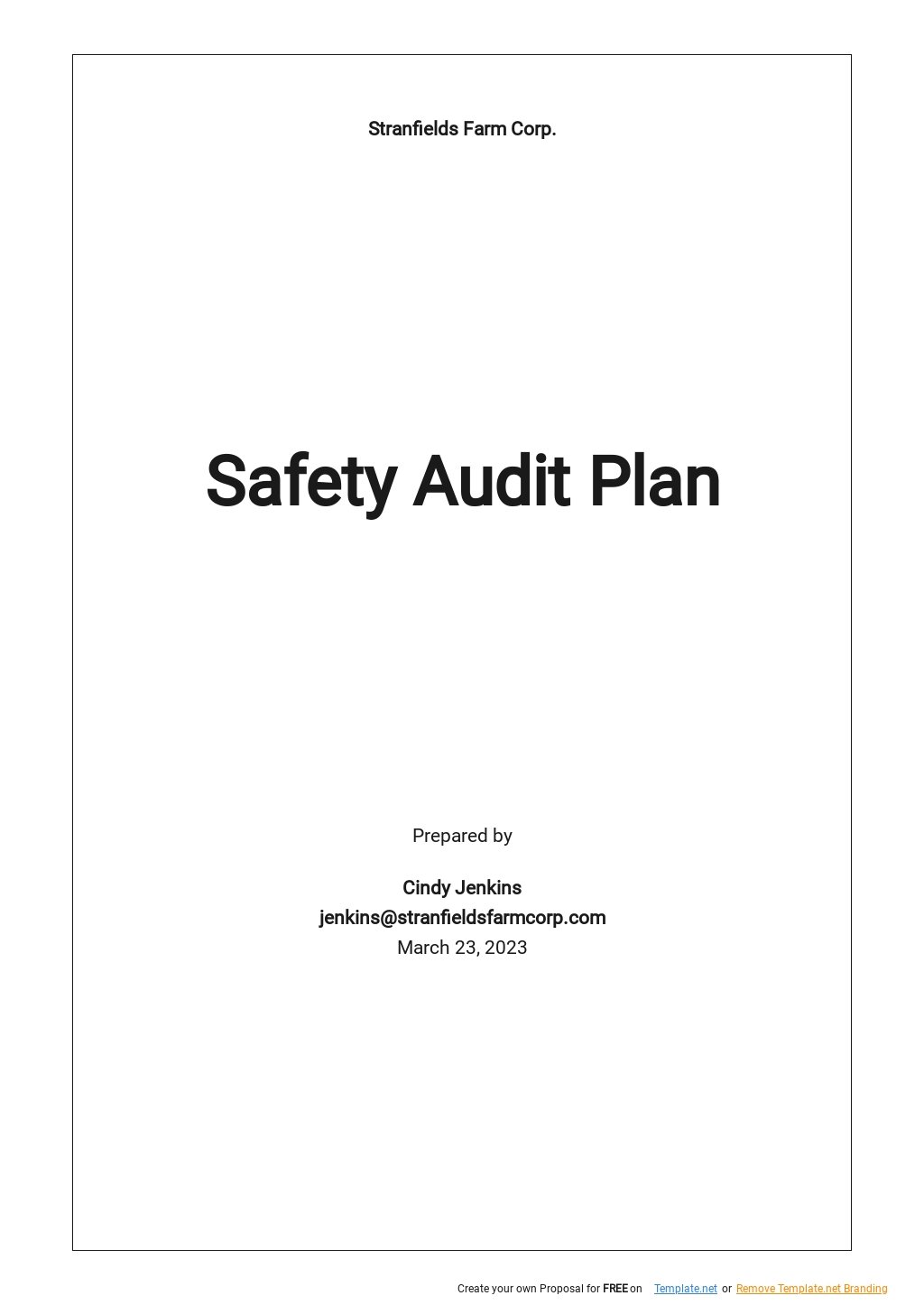 Safety Audit Plan Template