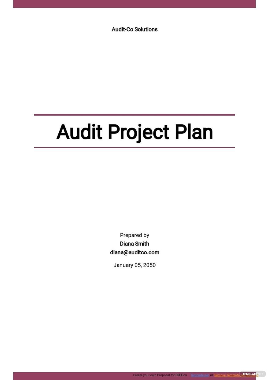 Audit Project Plan Template.jpe