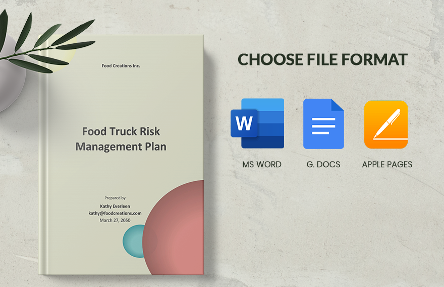 Food Truck Risk Management Plan Template