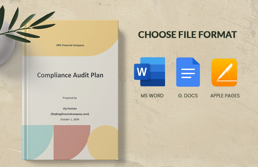 Compliance Audit Plan Template