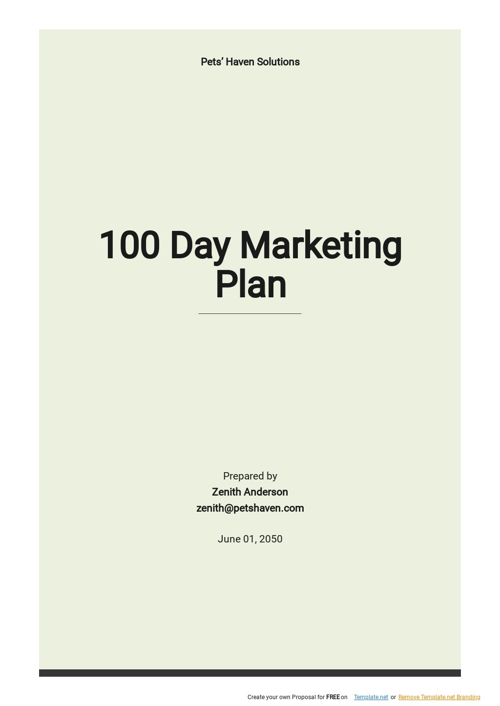 100 Day Marketing Plan Template
