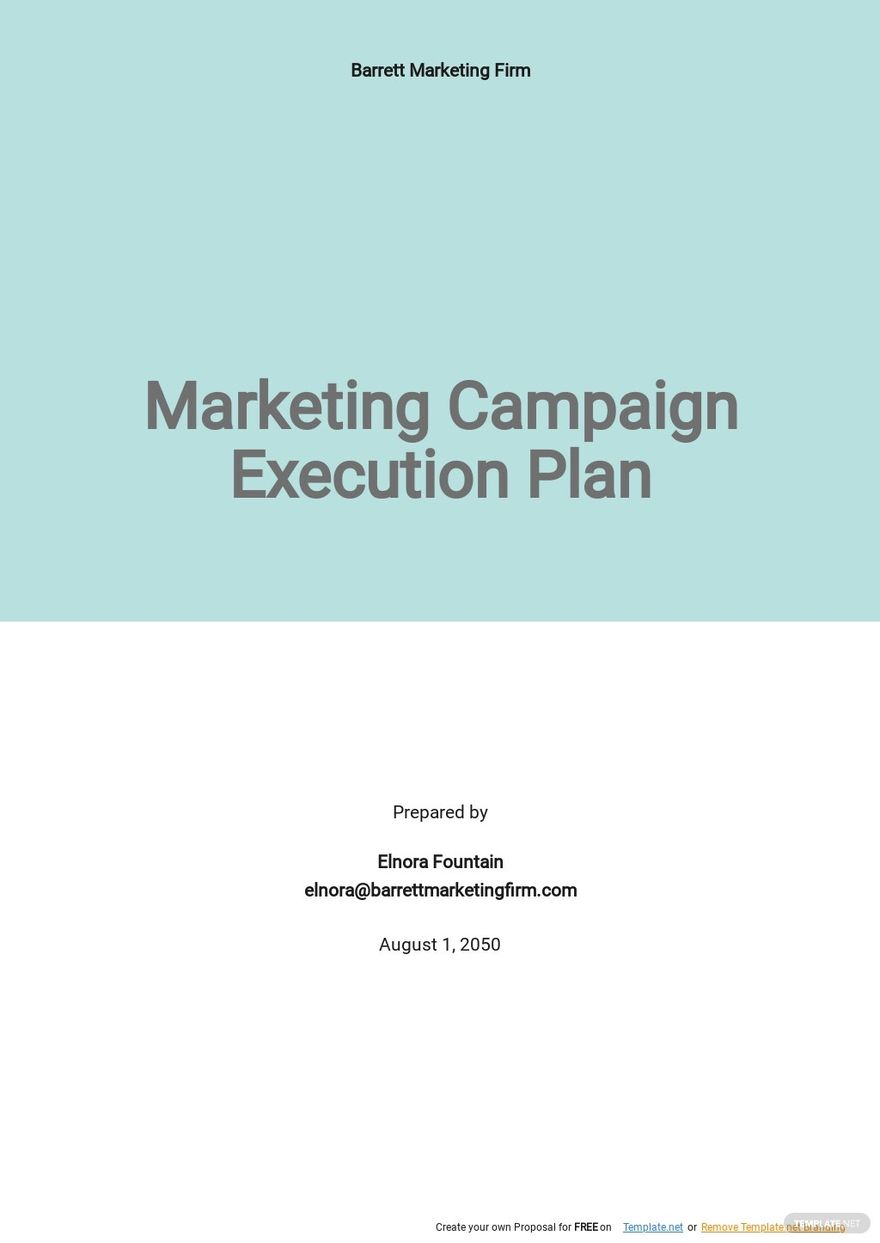 Marketing Campaign Execution Plan Template