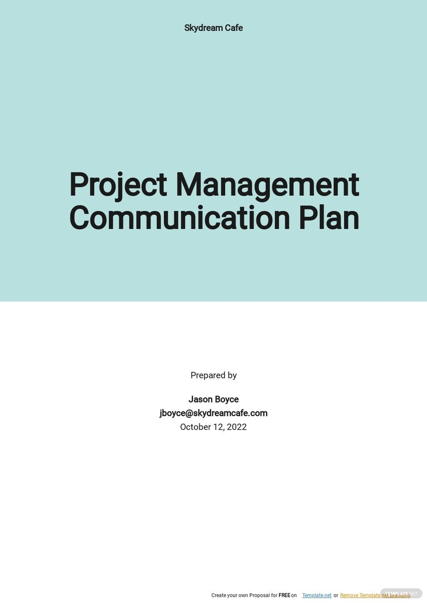 management-communication-plan-pdf-templates-free-download