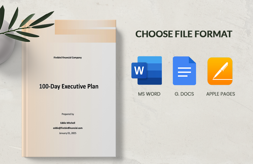 100 Day Executive Plan Template