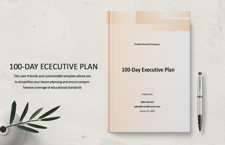 100 Day Executive Plan Template