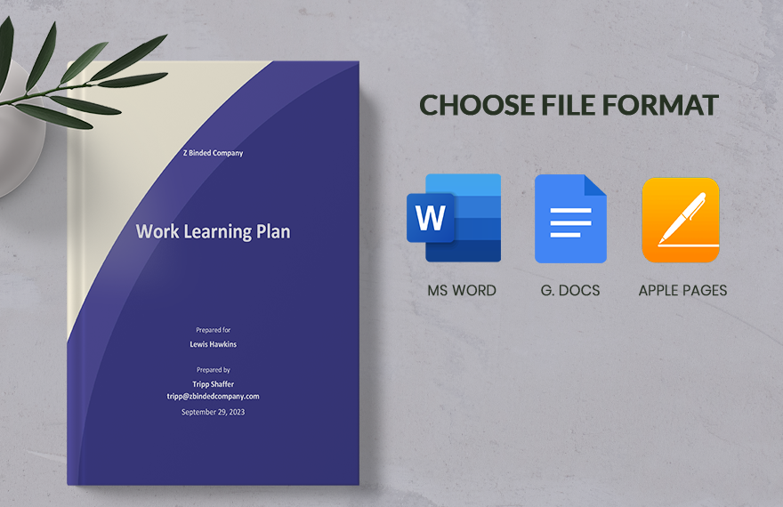 Work Learning Plan Template