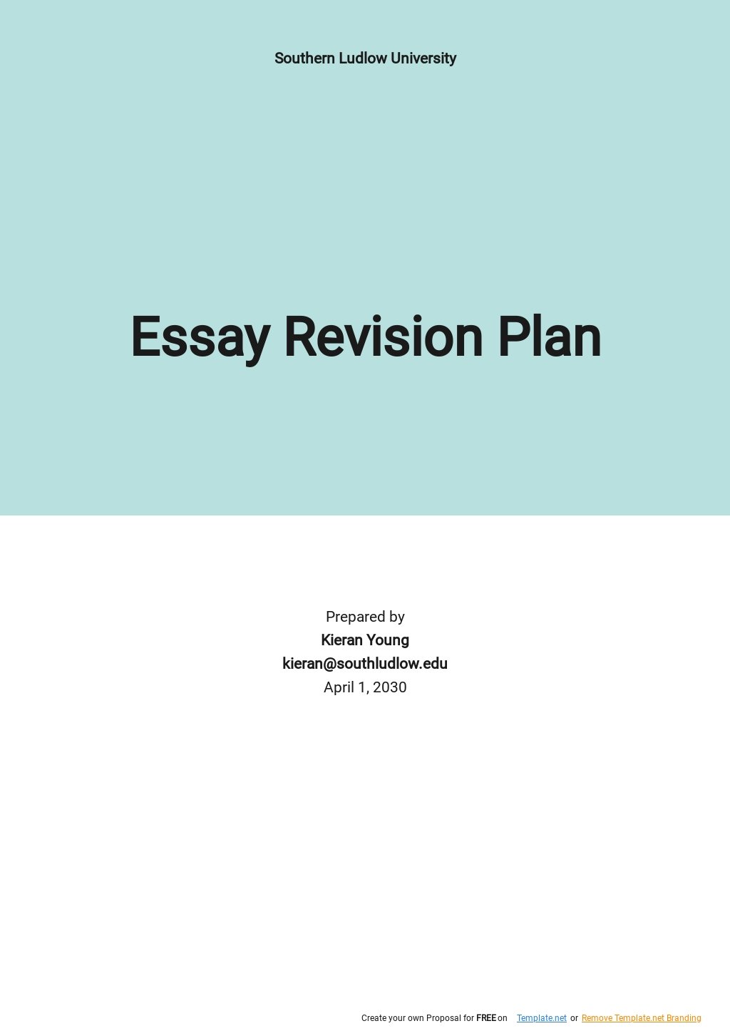 essay on revision