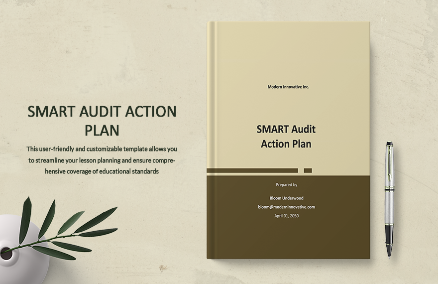 smart-audit-action-plan