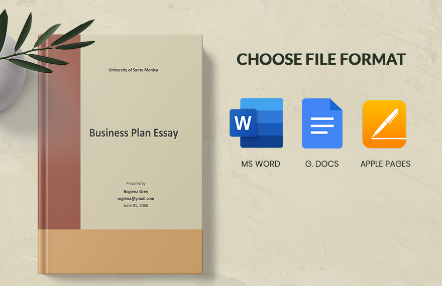 Business Plan Essay Template