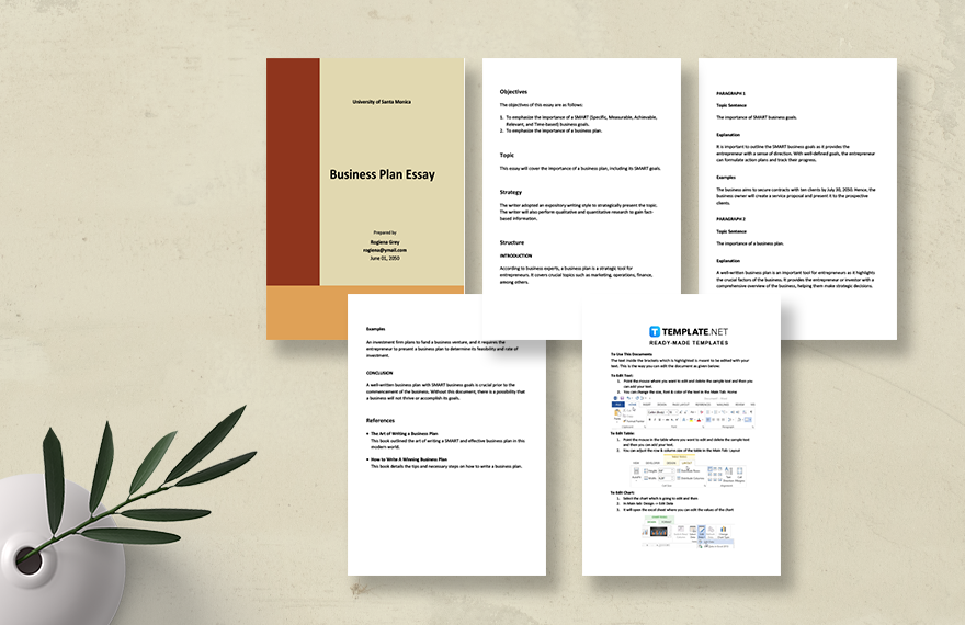 business plan essay pdf