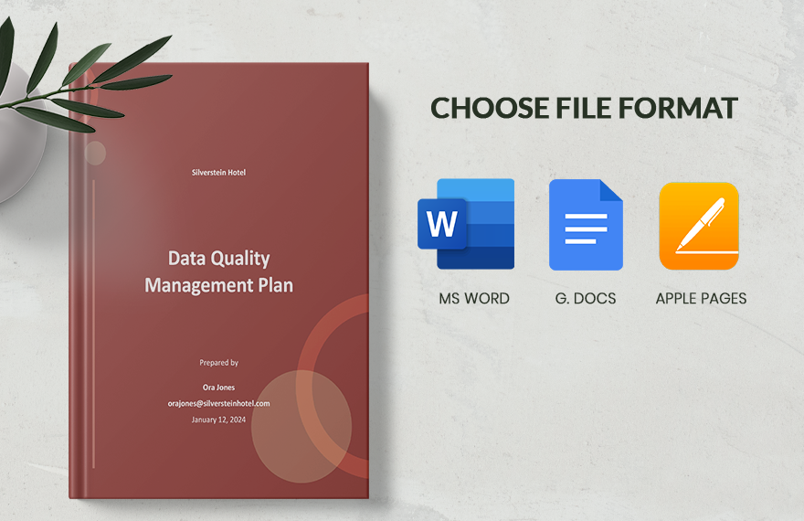 Data Quality Management Plan Template