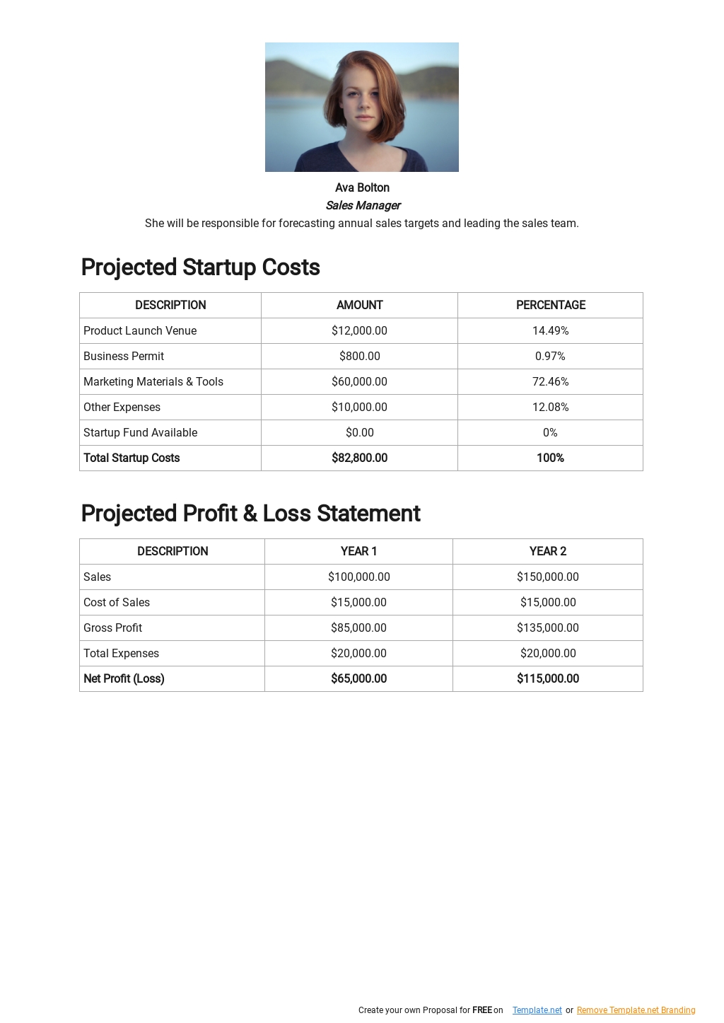 Product Launch Business Plan Template [Free PDF ...