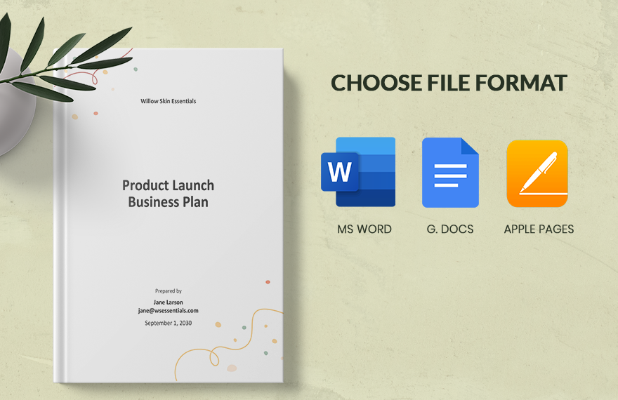 Product Launch Business Plan Template