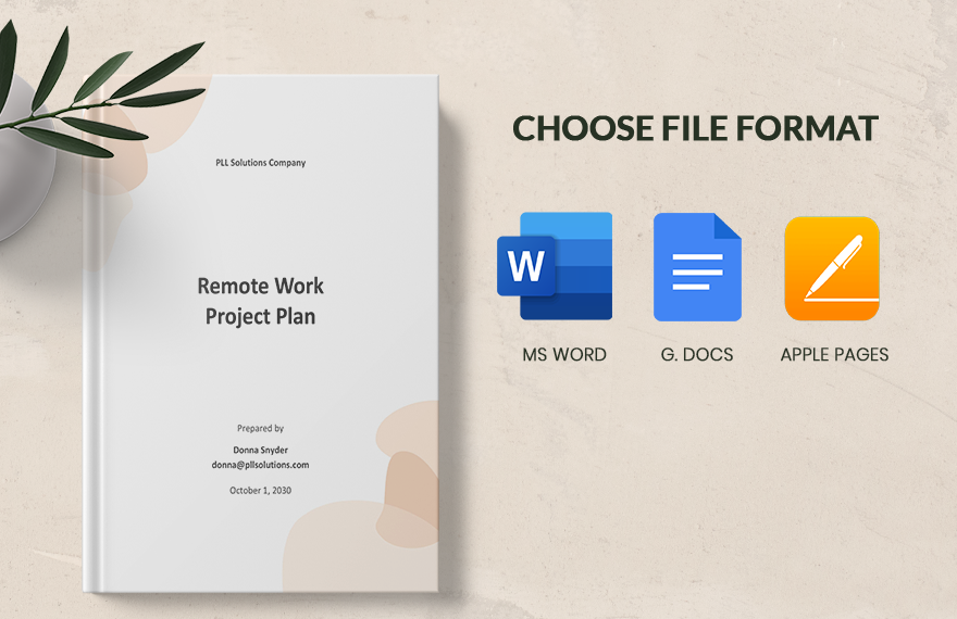 Remote Work Project Plan Template