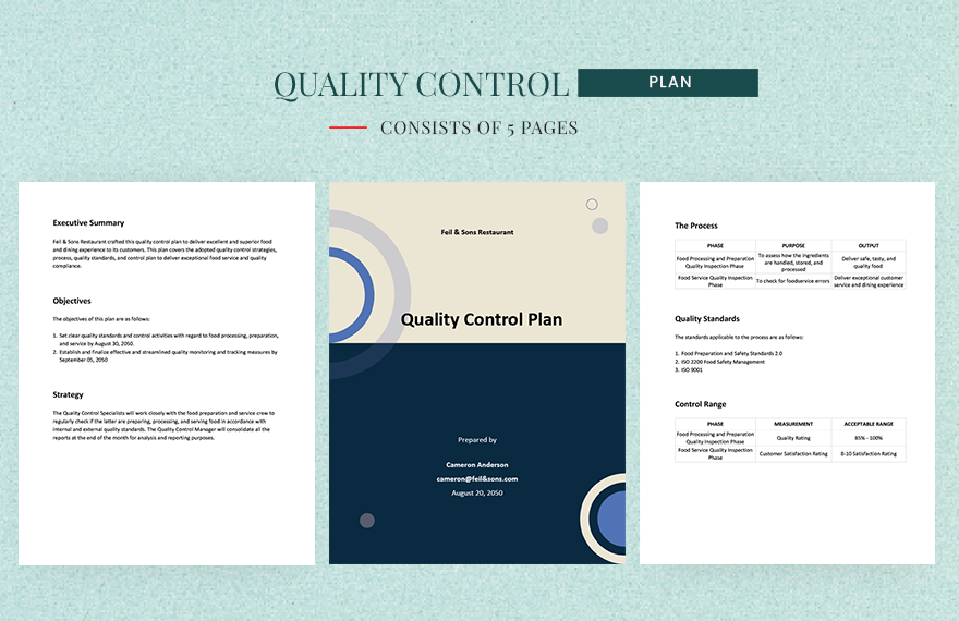 Simple Quality Control Plan Template