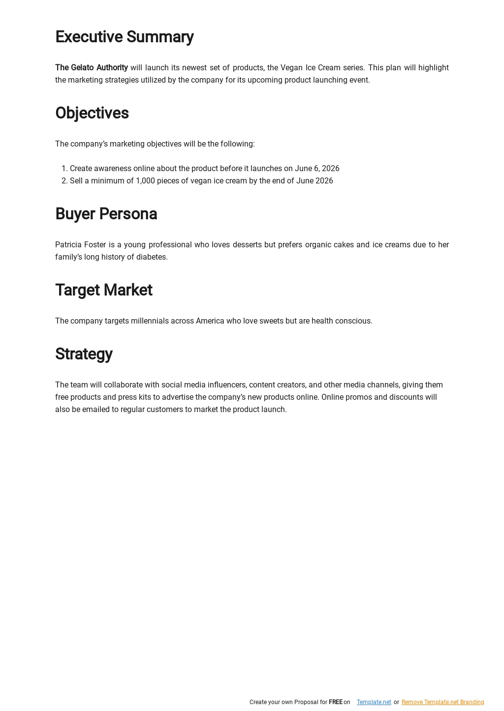 marketing-product-launch-plan-template-free-pdf-google-docs-word