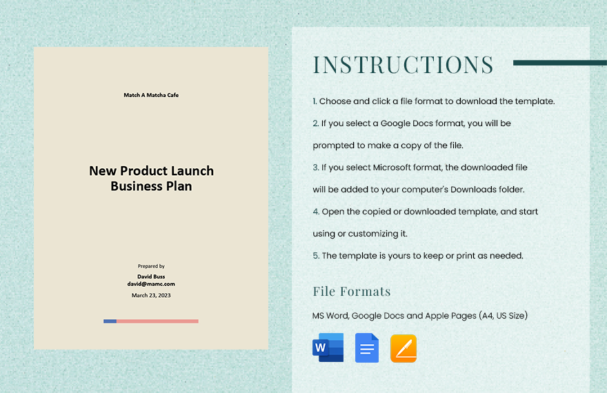 New Product Launch Business Plan Template