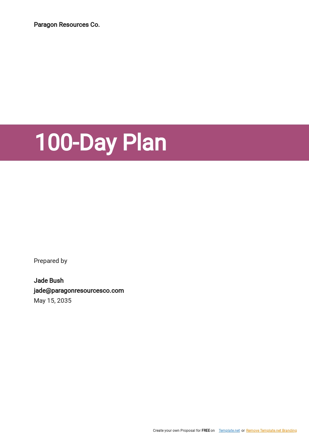 Sample 100 Day Plan Template.jpe