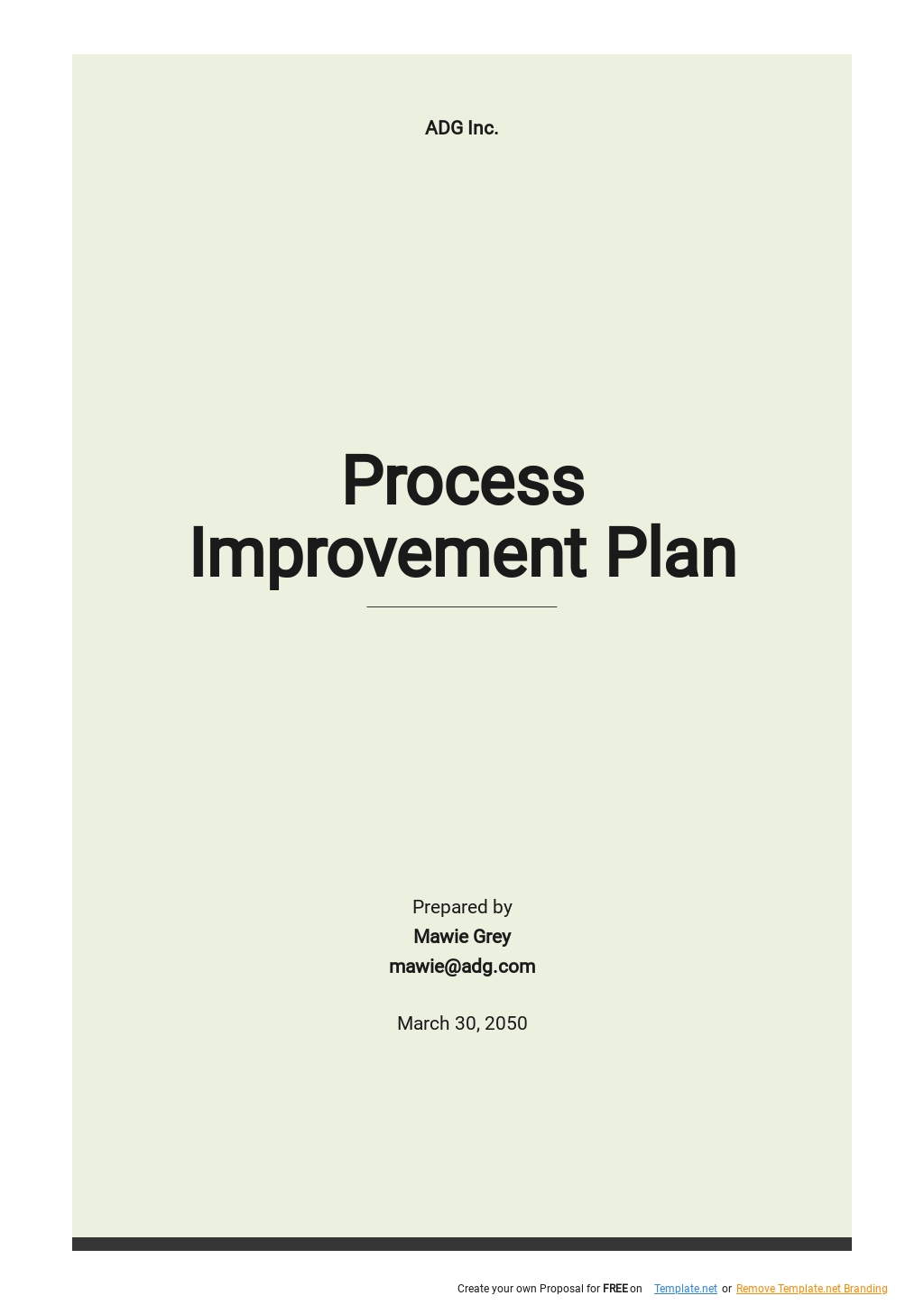 recruitment-process-improvement-plan-template-google-docs-word-apple-pages-pdf-template