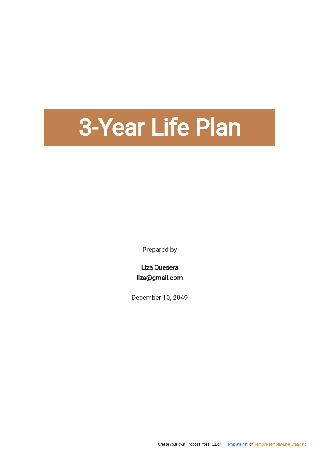 3 Year Life Plan Template.jpe