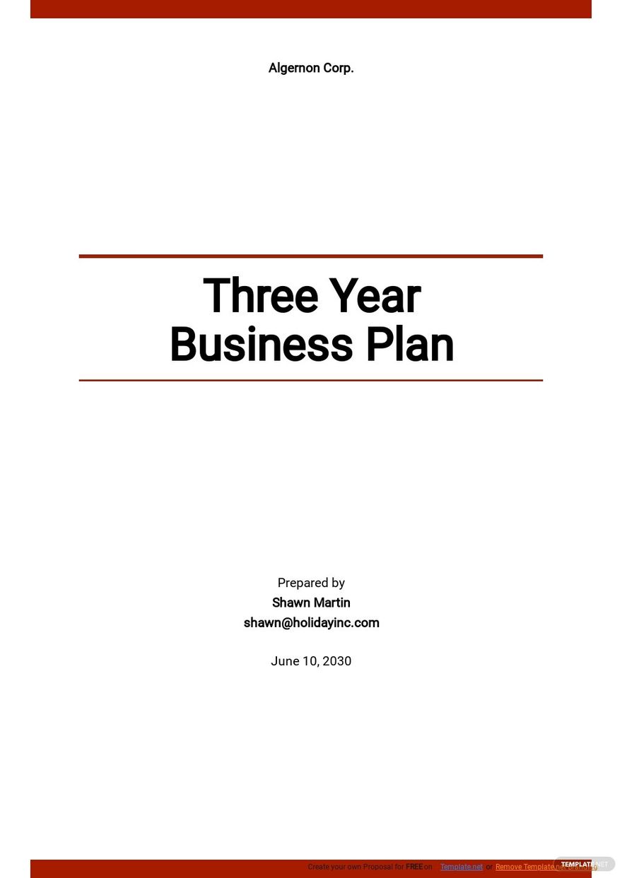 Free Simple 3 Year Business Plan Template