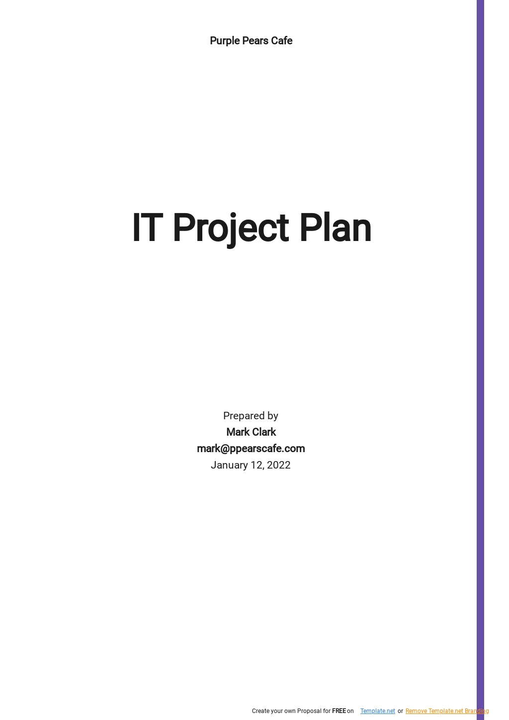 Free Basic IT Project Plan Template