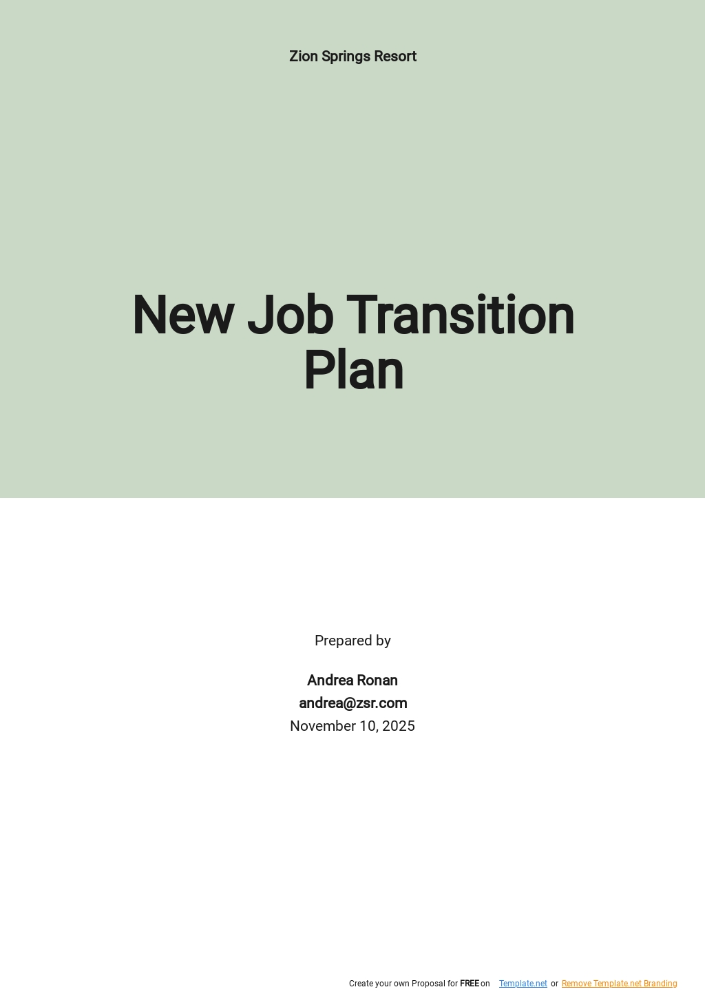 New Job Transition Plan Template