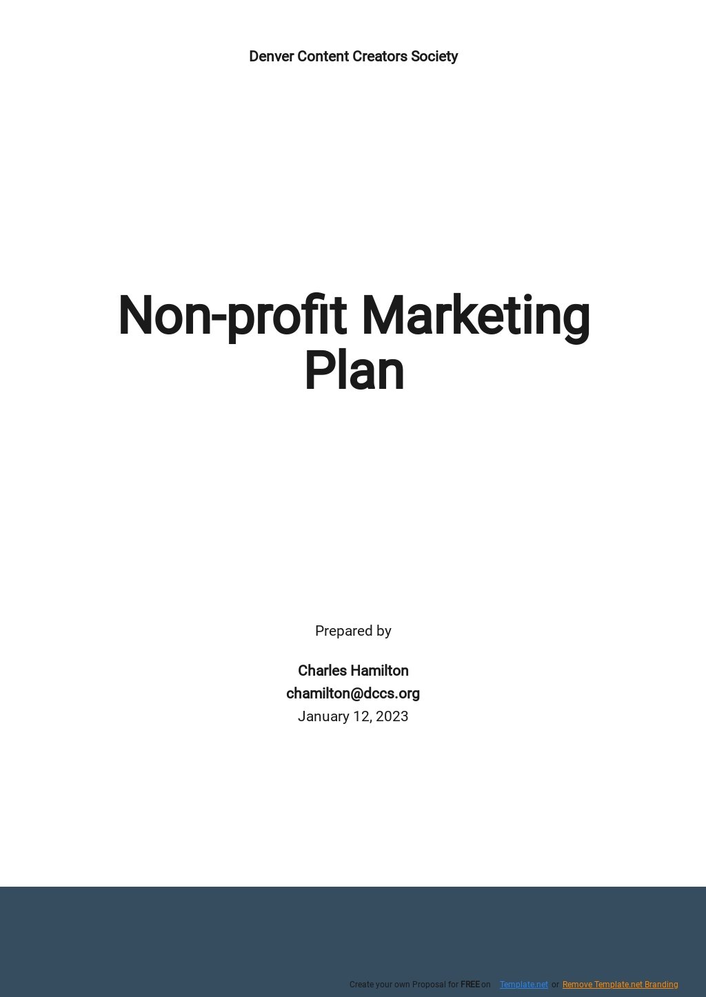 Free Sample Nonprofit Marketing Plan Template
