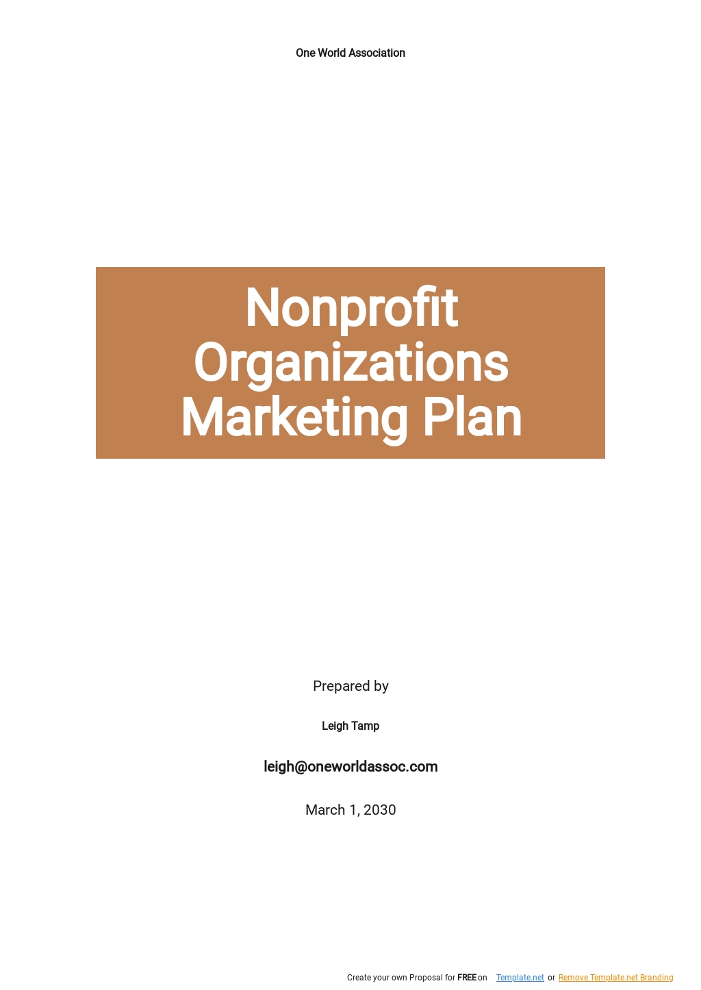 Simple Nonprofit Marketing Plan Template Free PDF Google Docs Word